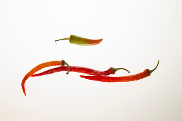 Red pepper on white isolated background. Pattern
