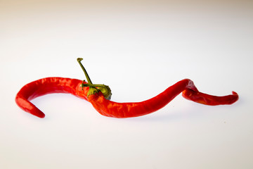Red pepper on white isolated background. Pattern