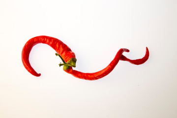 Red pepper on white isolated background. Pattern