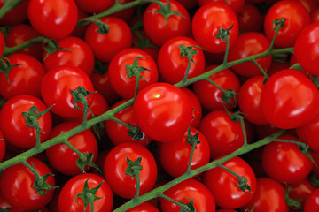 Close up fresh red cherry tomatoes in retail