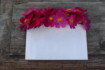Bouquet of red flowers, daisies with a yellow center with a blank paper card for text, copy space, on an old wooden background, greeting card concept
