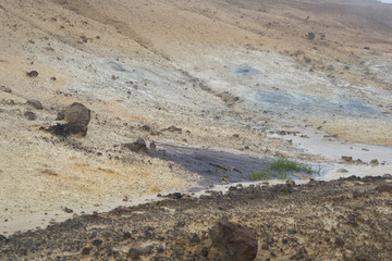 Fototapeta na wymiar Solfatare und Fumarolen im Krýsuvík-Seltun-Geothermalgebiet / Reykjanes-Halbinsel - Süd-West-Island