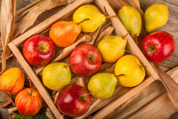 Organic pears and apples raised in a local orchard, the concept of healthy food from autumn fruits
