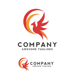 Naklejka premium creative phoenix bird logo concept, eagle fly logo vector design concept
