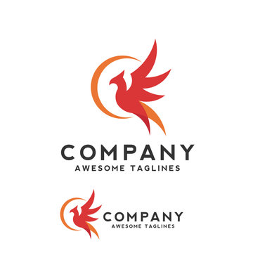 creative phoenix bird logo concept, eagle fly logo vector design concept