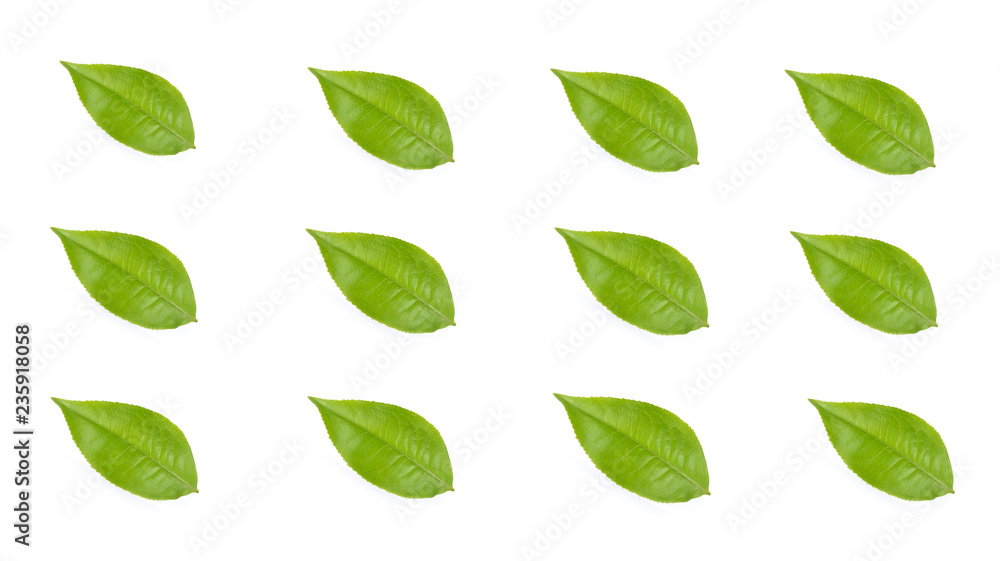 Wall mural green tea leaf collection isolated on white background