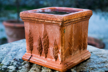 The cotto vase