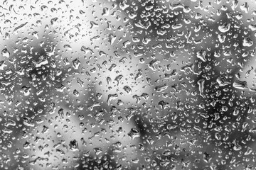 Drops on glass after a rain