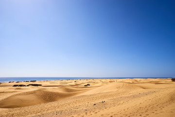 Fototapeta na wymiar The famous dunes of Maspalomas in the baking sun