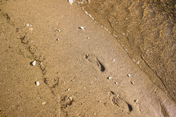 summer sea holidays concept of human foot prints on waterfront shore line sand background texture near waves with empty space for copy or text 
