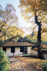 the autumn in the park of Suzhou, China