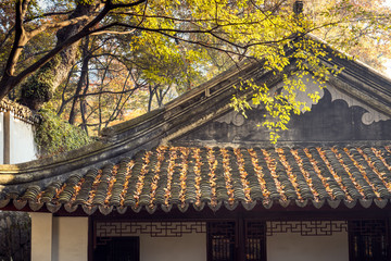 Fototapeta na wymiar the autumn in the park of Suzhou, China
