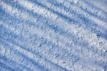 Freshly fallen white snow with the shadows of the plants. Shooting from above