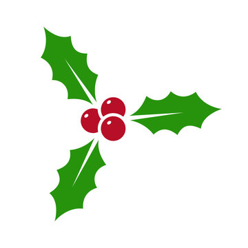Holly berry - vector icon. Holly berry leaves. Christmas symbol isolated