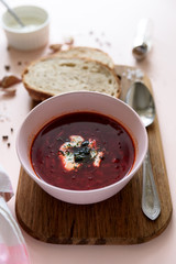 Red borscht soup in pink bowl with sour cream, bread, garlic and spices on pink background. Top view. Flat lay