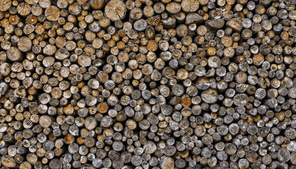 Close up photo of newly felled timber. Stack of firewood.