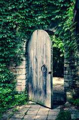 Old gate in the medieval stone castle wall, covered by ivy