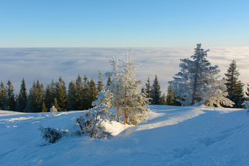 Winter day in the mountains