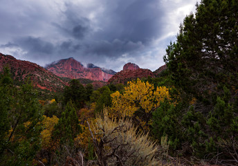 Kolob Canyons, Zion National Park