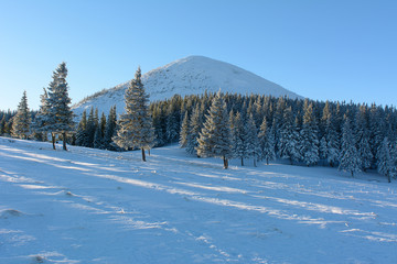 Winter day in the mountains