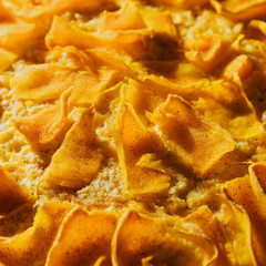 A piece of homemade pumpkin pie