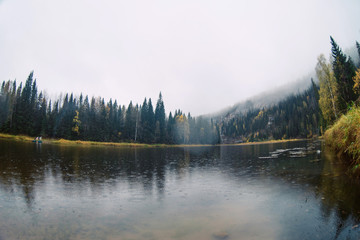Fototapeta premium Autumn landscape: the river in fog among the wild forest and rocks.
