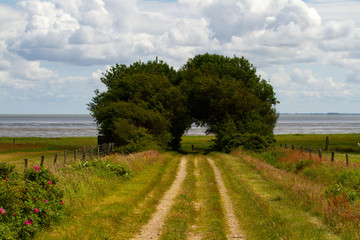 Hübsche Landschaft am Meer auf Sylt mit Aussicht auf das Watt bei Ebbe / Flut.