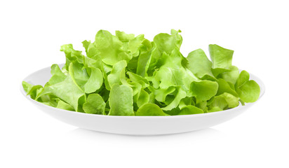 fresh green lettuce leaves on white