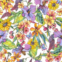 Watercolor floral colorful summer seamless pattern, wildflowers botanical illustration