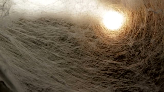 Chinese silk in the sun