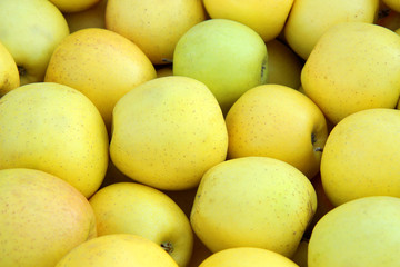 fresh apples on the market