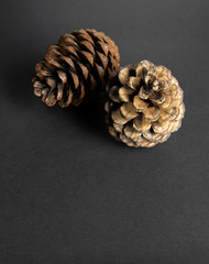 Brown pine cone on black paper background