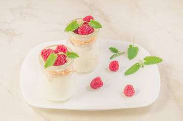 fresh homemade yogurt decorated with fresh raspberry and mint/Two glass jars with fresh homemade yogurt with raspberry and mint on a white tray