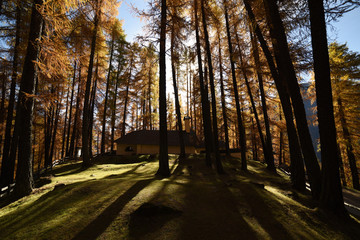 chiesa autunno foresta montagna 