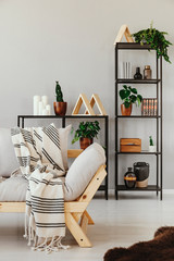 Metal shelf with plants in pots, books and accessories behind comfortable sofa with striped blanket, real photo with copy space on the empty beige wall