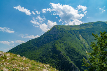 Vista dalla cima