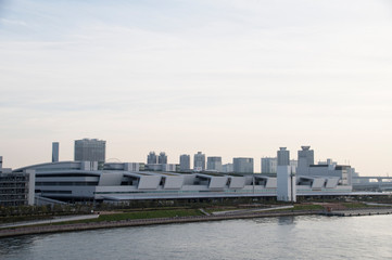 豊洲市場