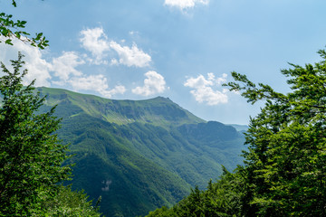 Fototapeta premium Scorcio dal sentiero nella valle dell'Ambro