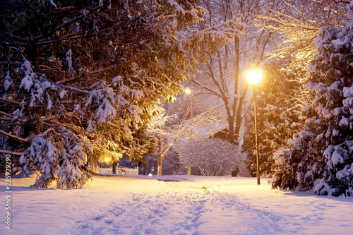 Scenic Winter Night Nature Background Beautiful Winter