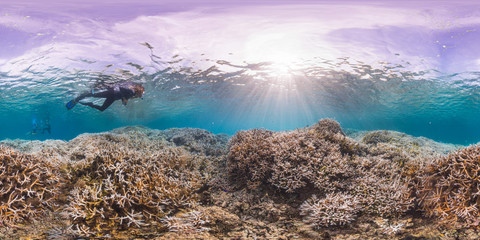 Fototapeta na wymiar Snorkeler above bleaching coral