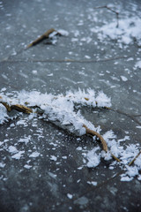 Unique natural phenomenon. Fancy ice on the surface of a frozen pond.