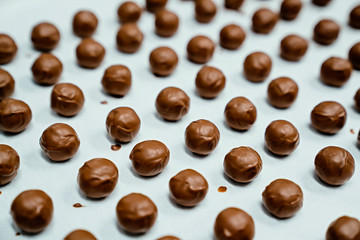 An assortment of chocolate covered candies