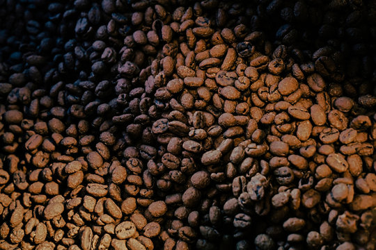 An abundance of cacao beans
