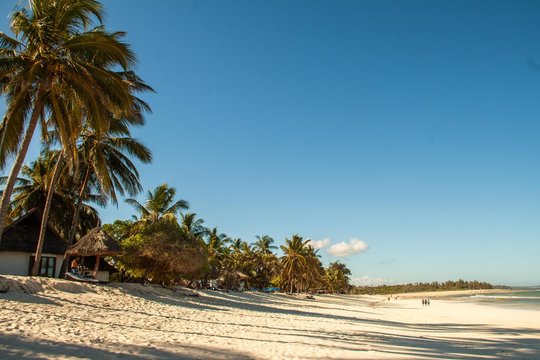 Palmenstrand in Afrika
