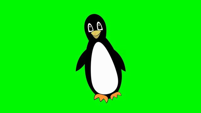 penguin walking on green screen, cute mascot, bird cartoon isolated, beautiful talisman, 4k animation