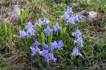 The Black sea coast, Crimea
