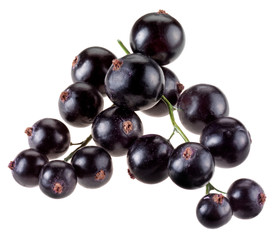 SPRIG OF BLACKCURRANTS