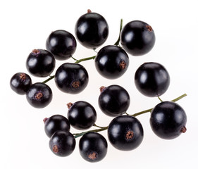 SPRIG OF BLACKCURRANTS