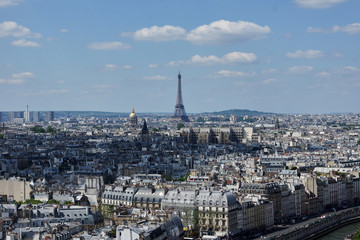 Fototapeta premium Panoramic view of Paris from Notre Dame of Paris