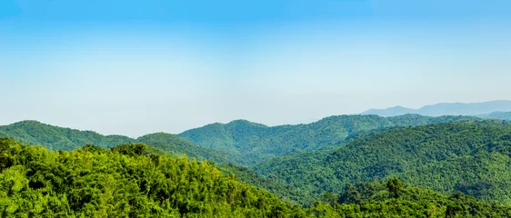 Fototapeten Panorama landscape view of green trees on rain forest mountain in Thailand , Tad Mok Phetchaboon © mathisa